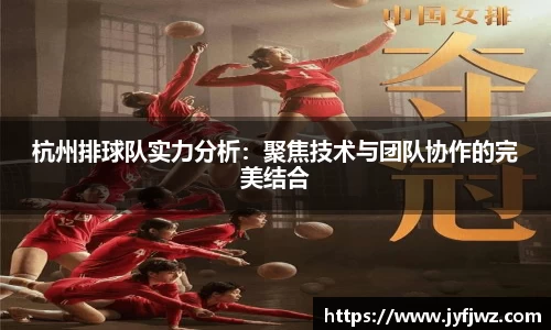 杭州排球队实力分析：聚焦技术与团队协作的完美结合